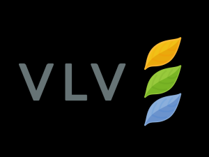 LOGO: VLV Development